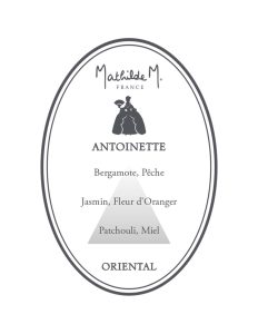 Ambientador Spray Antoinette 100ml 1 piramide olfativa de ambientador spray Antoinette